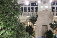Kunstfelsen - Kreuzfahrtschiff - AidaStella-Wellness-Oase