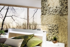 Moosbilder - Schlafzimmer - Curly - Islandmoos