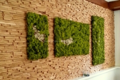 Mooswand - Islandmoos - Green - Hoteleinrichtung