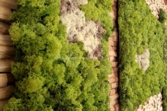 Mooswand - Islandmoos - Green - Hoteleinrichtung